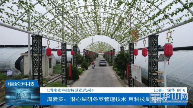 周爱英：潜心钻研冬枣管理技术 用科技助农增收