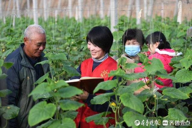 临沂：“网红”走进蔬菜大棚，帮菜农广撒网卖菜