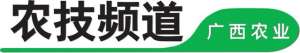 野兔可以养殖吗(这份关于养殖兔子的常见误区和注意事项，看完就可以避开了)