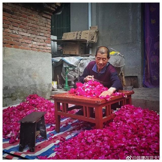 西安这个地方也盛产玫瑰花 众多美食“芳香”的发源地