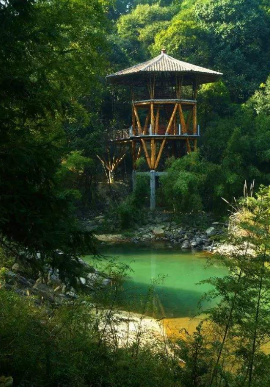 「诗词鉴赏」夏木深，草虫鸣，悠悠夏日听虫鸣，赏最美的诗词！​