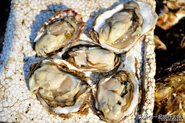 大连有哪些不可错过的海鲜美食？实在是太多了！海鲜篇（一）