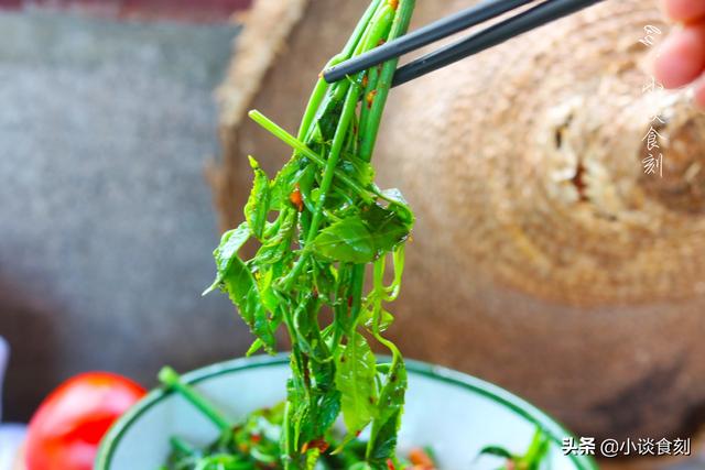 秋天，不吃这野菜可惜了，我家每周必吃，降火特别好，孩子也爱吃