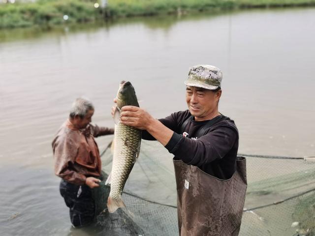 我为家乡优质农特产品代言⑩丨九原区哈业胡同镇特色养殖