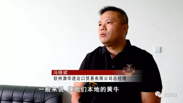 明年数万头澳洲活牛入桂，广西百姓可随意“点单”