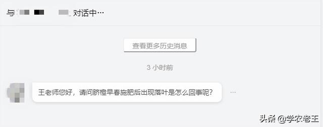 脐橙施对肥，产量自然高！怎么做？先了解需肥特点，再注意这4点