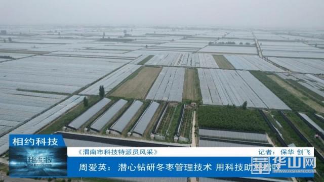 周爱英：潜心钻研冬枣管理技术 用科技助农增收