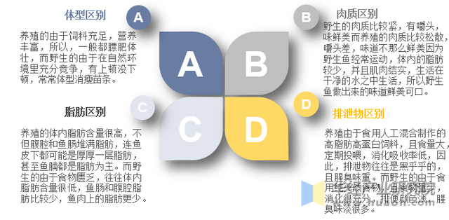 2022年中国鲽鱼产业现状，海水养殖产量有所回升「图」