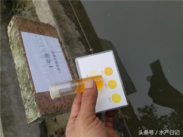 水产养殖用芽孢杆菌 省心省钱效果不错