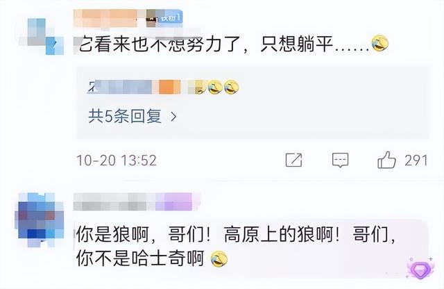 饲养有度！青海“狼网红”引发人工干预争议