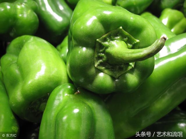 菜椒要怎么种植 六步教你轻松搞定