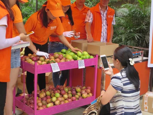 「创业创新」横县：借力电商开拓市场 职业农民迈步向前