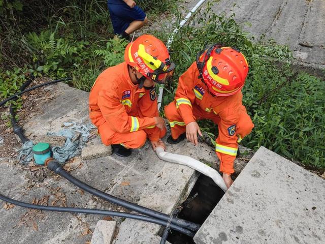 贵州麻江：养殖基地1300多头小猪仔无饮用水，消防送水解忧