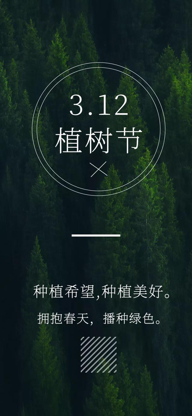 拥抱春天，种植希望