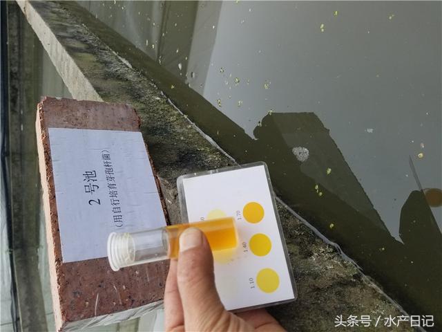 水产养殖用芽孢杆菌 省心省钱效果不错