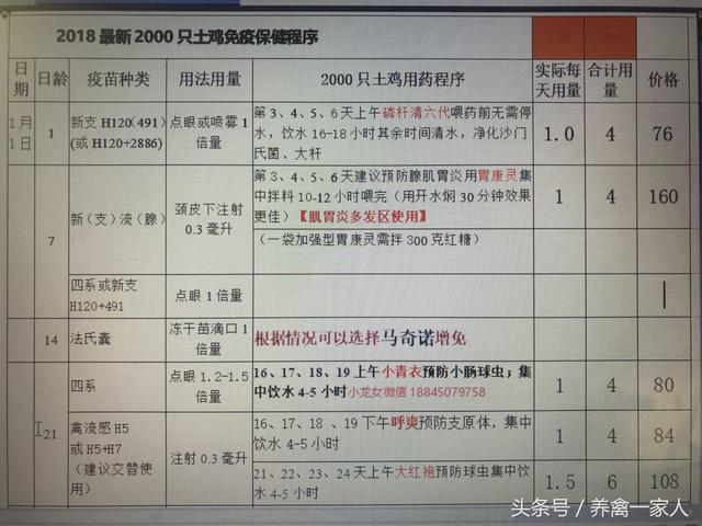 养鸡秘诀：土鸡养殖技术问答，新手必备！