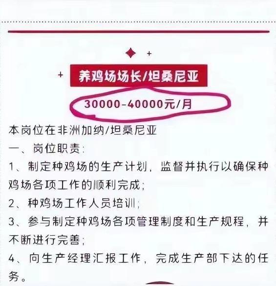 “非洲养鸡月薪4万”山东公司：对技术、管理能力要求很高 收到百余份简历合适的很少