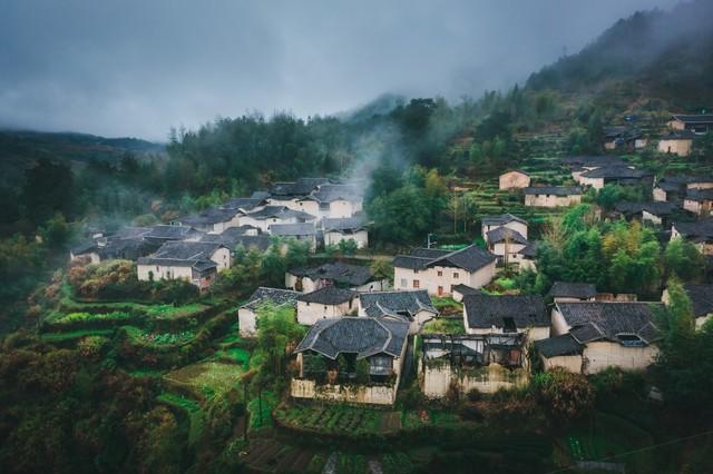 未来农村十大挣钱行业