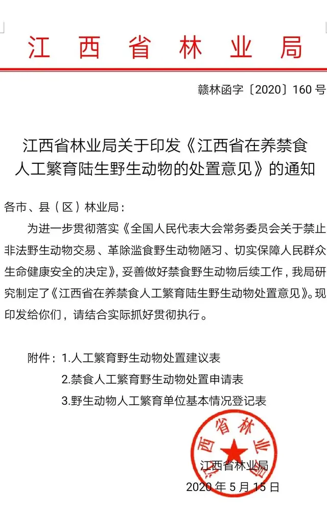 黑斑蛙、棘胸蛙或被“解禁”！其他蛙类有无希望？