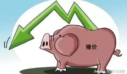 2018年养殖业走向哪里？互联网养殖、巨头发力、品牌化……