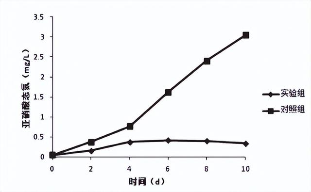 在养殖泥嫩时，要想净化水体水质，少不了加入枯草芽抱杆菌