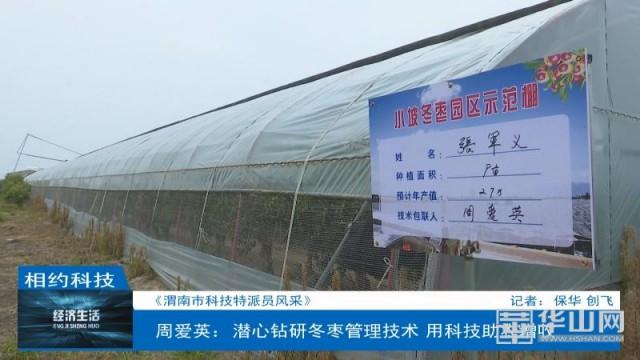 周爱英：潜心钻研冬枣管理技术 用科技助农增收