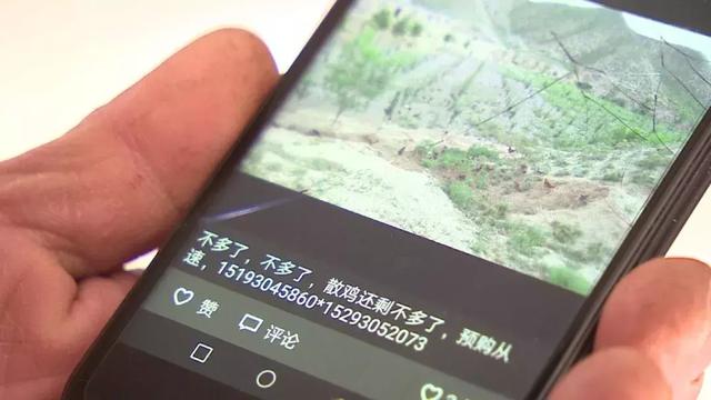 新春走基层-白银：土鸡蛋火遍朋友圈 山里人住上电梯房