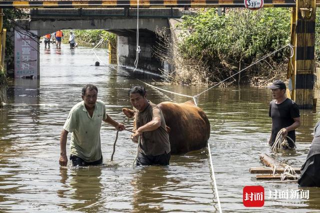 洪水围城｜新一轮降雨将至，河南卫辉城区8.6万人紧急转移