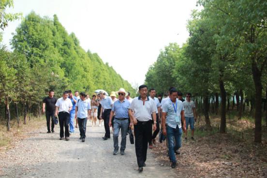 年产龟鳖20万斤，“荷鳖鱼共生”等绿色模式在这里大显身手