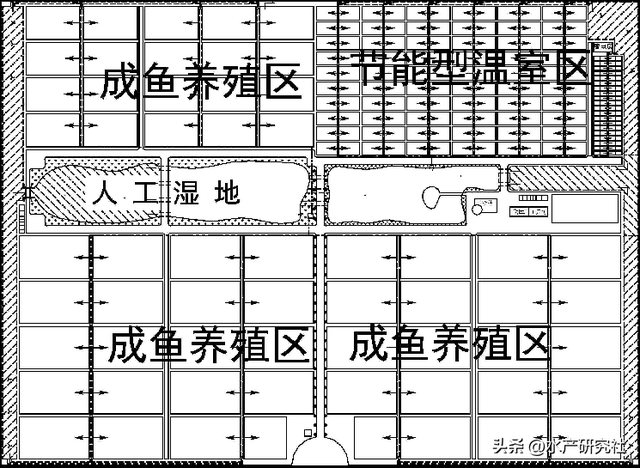 养殖池塘的结构、类型怎样布局收益更大？