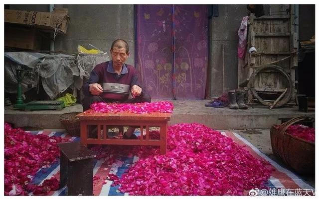 西安这个地方也盛产玫瑰花 众多美食“芳香”的发源地