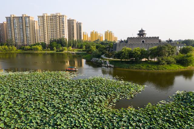 周末哪里玩！你知道沧州这个地方藏着华北地区县级城市中最大的淡水型公园吗？