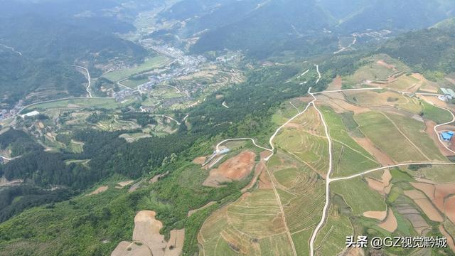 岑巩：太子参种植管护忙