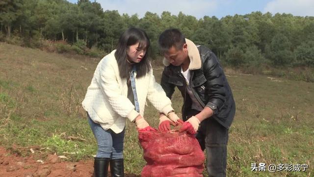 贵州威宁：乌江源头90后牛夫妻的致富记