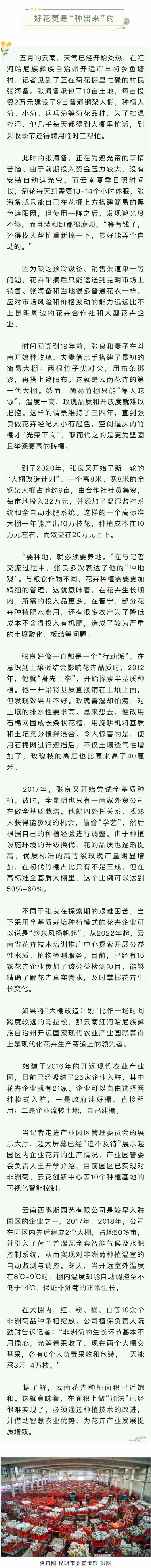 一花一世界！《农民日报》整版报道云南花卉产业