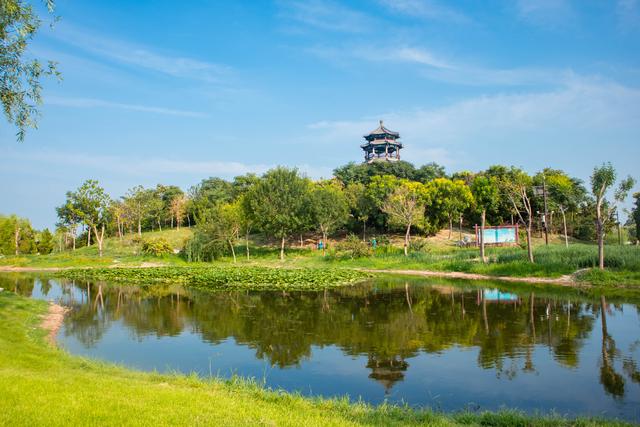 周末哪里玩！你知道沧州这个地方藏着华北地区县级城市中最大的淡水型公园吗？