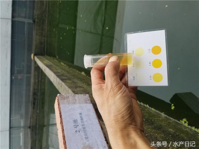 水产养殖用芽孢杆菌 省心省钱效果不错