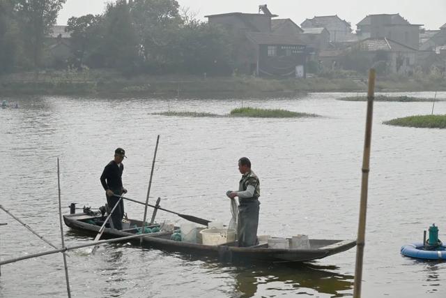 今年养虾蟹没赚到钱的看过来！这些养殖新思路值得一看