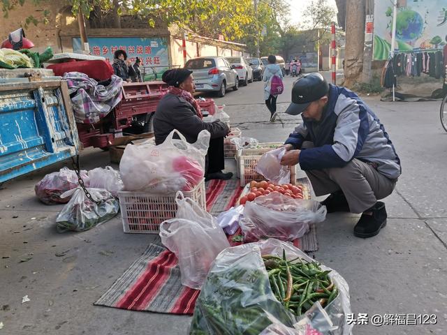 一棵山楂卖了三千元，一亩露天西红柿卖两万元，你见过吗