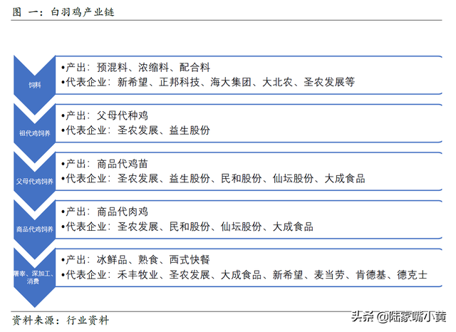 浅析白羽肉鸡繁育周期（肯德基、麦当劳等使用的肉鸡品种）