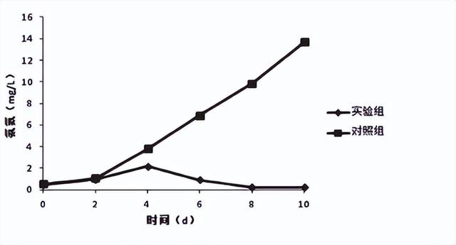 在养殖泥嫩时，要想净化水体水质，少不了加入枯草芽抱杆菌