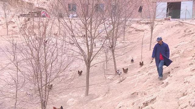 新春走基层-白银：土鸡蛋火遍朋友圈 山里人住上电梯房