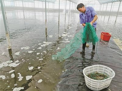 浙江宁波海水土池养殖科研有了“综合试验场”