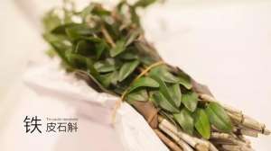 中药种植石斛(林下育仙草——铁皮石斛的种植管理方法揭秘)