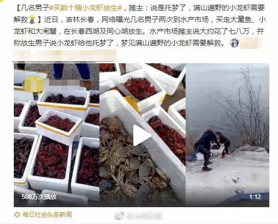 大家可能对小龙虾的力量一无所知