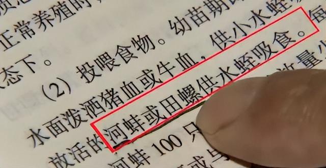 日本水蛭才吸血，中国水蛭不吸血堪称水中人参，广东人都买来煲汤