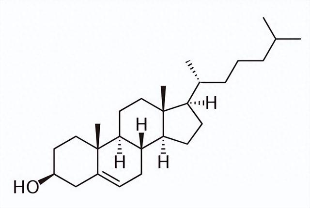 在养殖泥嫩时，要想净化水体水质，少不了加入枯草芽抱杆菌