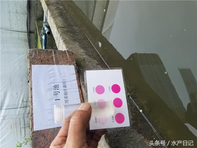 水产养殖用芽孢杆菌 省心省钱效果不错