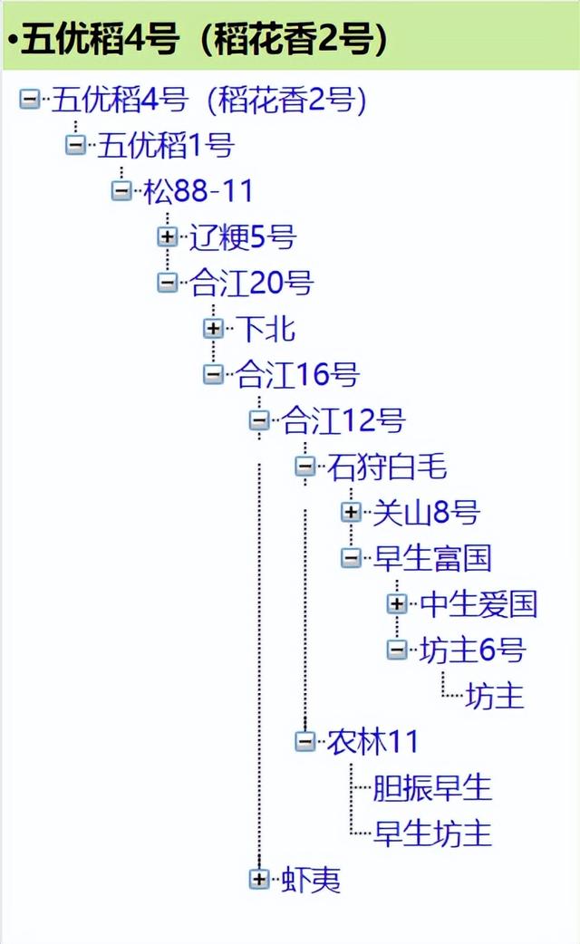 五常大米的历史，你知道多少？