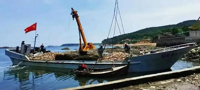 辽宁大连长海县：扇贝养殖带动海岛村民致富